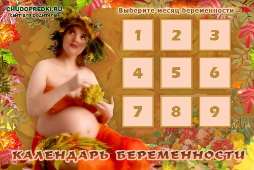 Кадендарь беременности