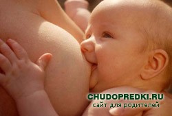 Грудь после родов