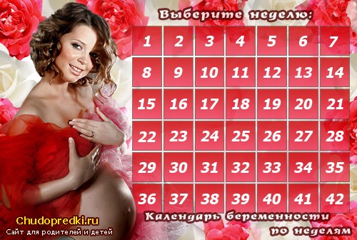Календарь беременности по неделям