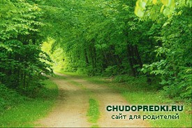 Пословицы о Родине