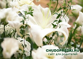 Чугунная свадьба. 6 лет