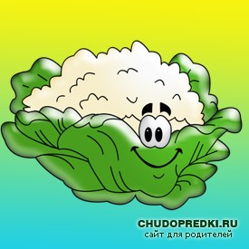 Загадки о капусте