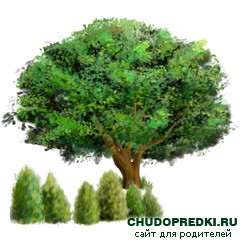 Английские стихи о деревьях