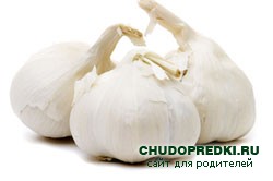 Чесночное масло и его полезные свойства