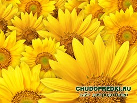 Цветочная пыльца и ее целебные свойства
