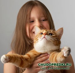 Стихи о домашних животных