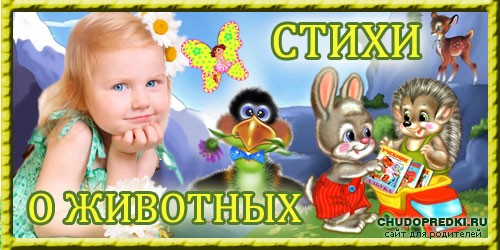 Стихи о животных