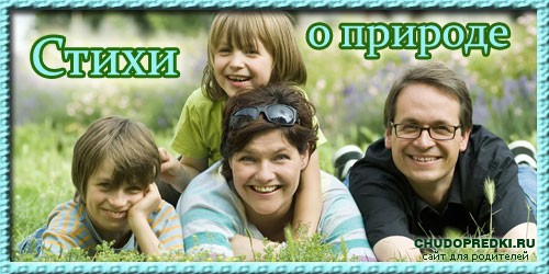 Стихи о природе