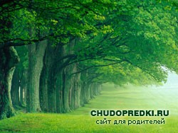 Стихи про лето для детей