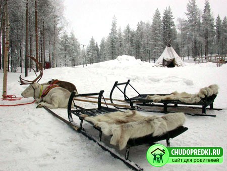 отдых в финляндии