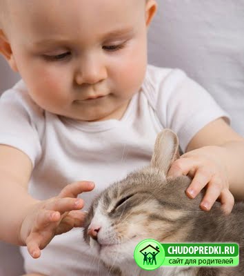 ребенок и кошка