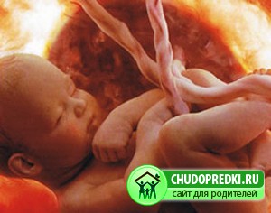 Седьмой месяц беременности