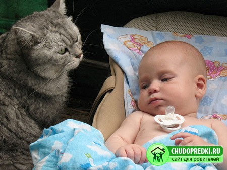 ребенок