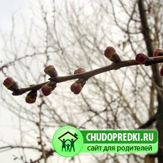 холодные ветры