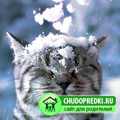 Стихи о природе