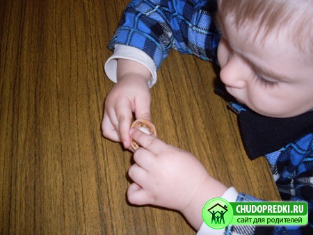 Поделки из ореховой скорлупы