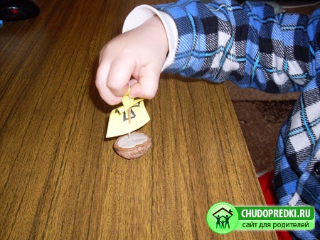 Поделки из ореховой скорлупы