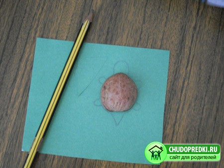 Поделки из ореховой скорлупы