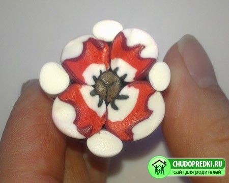 Серьги из пластика. Маковые серьги