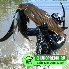 рыбалка в Дельте Волги