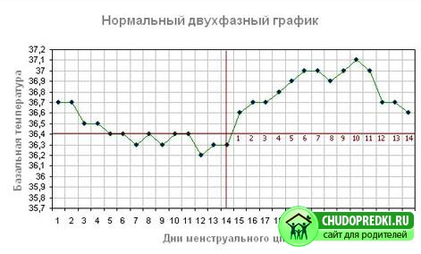 График базальной температуры