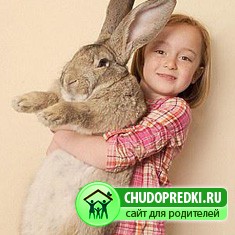 День рожденье