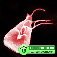 Лямблиоз