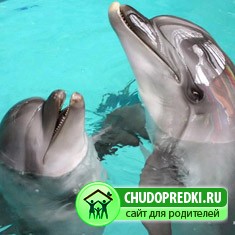 Отдых в Петербурге с детьми