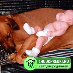 Риджбек