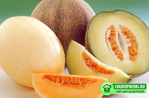 Дыня кормящим