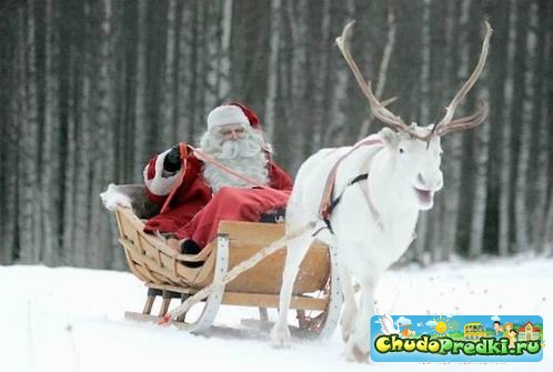 Новый год 2013