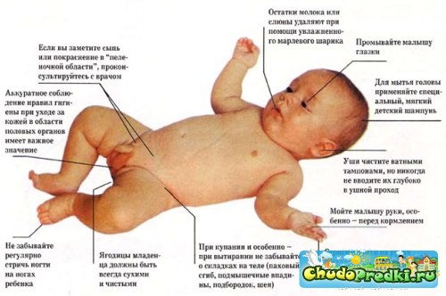 гигена половых органов ребенка