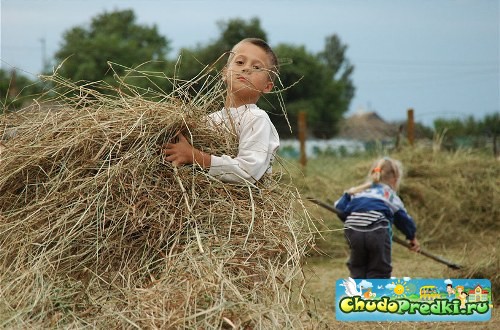 сочинение летний день