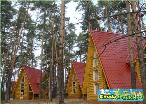Отдых за городом