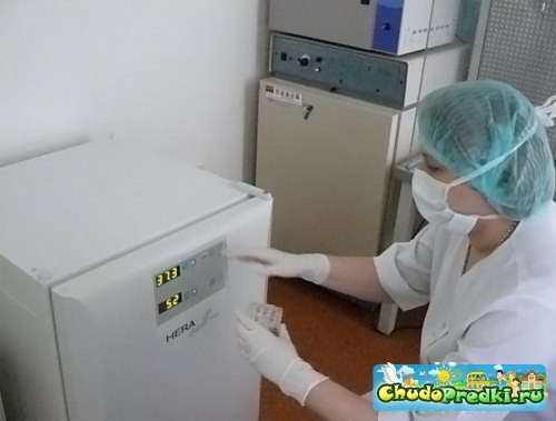 Инсеминация спермы