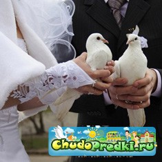 свадьба
