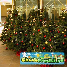 новый год