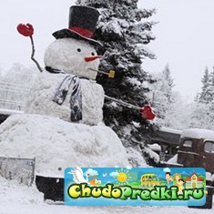 новый год