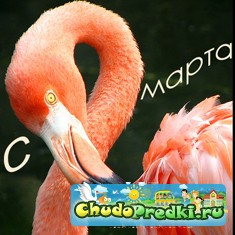 8 марта