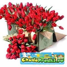 8 марта