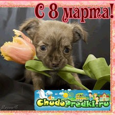 8 марта