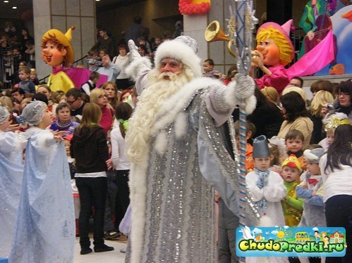 Новогодние елки 2013