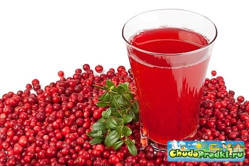 Соки для детей. 10 самых полезных