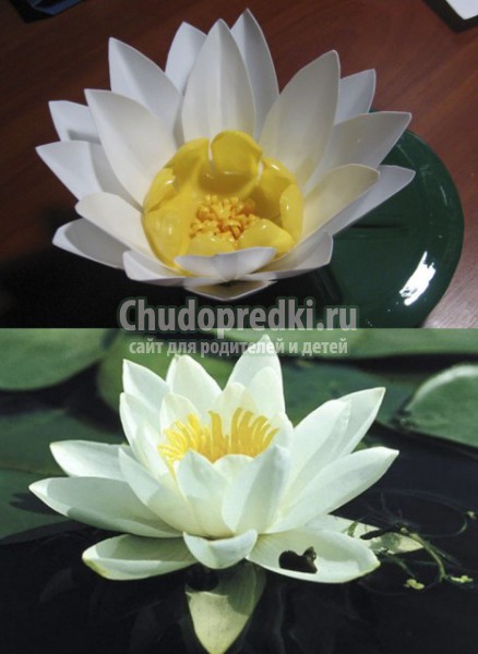 Поделки из бутылок