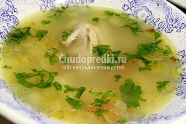 суп из курицы с сельдереем
