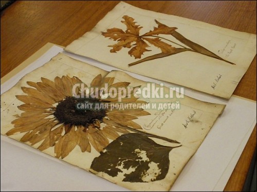 Летние поделки своими руками