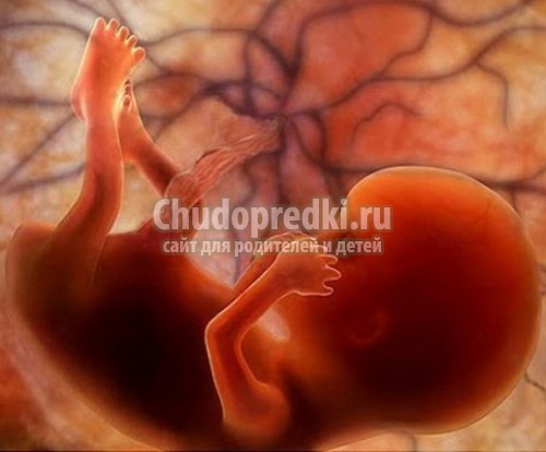 11 неделя беременности
