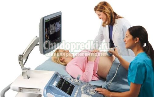 УЗИ 11 недель