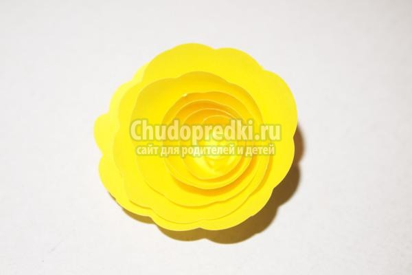цветы в технике квиллинг. Розы