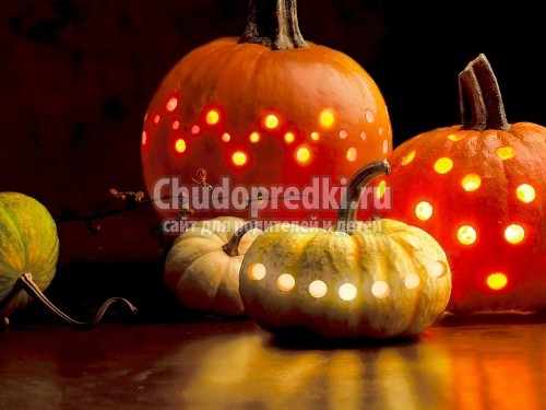 Осенние поделки из природных материалов для детей